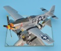 Eduard 1/48 P-51 D  