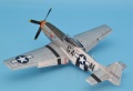 Eduard 1/48 P-51 D  