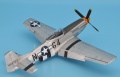 Eduard 1/48 P-51 D  