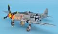 Eduard 1/48 P-51 D  