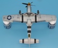 Eduard 1/48 P-51 D  