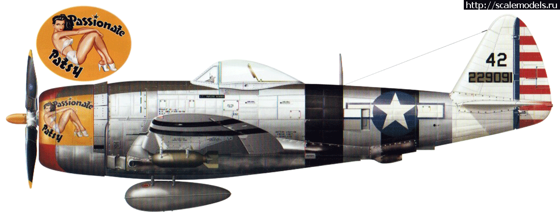 1588088756_US-P47-42-2.gif : #1615731/ Tamiya 1/48. P-47D Thunderbolt, ...(#14143) -   