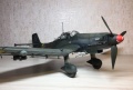 Hasegawa 1/32 Junker Ju-87D3