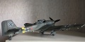 Hasegawa 1/32 Junker Ju-87D3