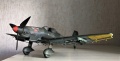 Hasegawa 1/32 Junker Ju-87D3