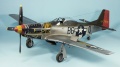 Tamiya 1/32 P-51D Mustang