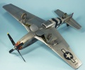 Tamiya 1/32 P-51D Mustang