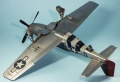 Tamiya 1/32 P-51D Mustang