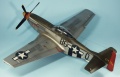 Tamiya 1/32 P-51D Mustang