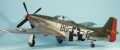 Tamiya 1/32 P-51D Mustang