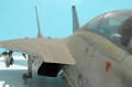 1/32 F-14 Tomcat -    -    