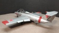 Eduard 1/48 L-29 Delfin