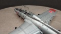 Eduard 1/48 L-29 Delfin