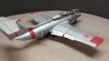 Eduard 1/48 L-29 Delfin