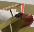 Eduard 1/48 Sopwith F.1 Camel -  