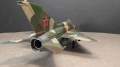 Trumpeter 1/48 -21