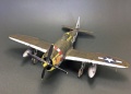 Tamiya 1/48. P-47D Thunderbolt, Жгучая, но скромная Петси и десятитонный Кувшин