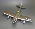 Tamiya 1/48. P-47D Thunderbolt, ,      