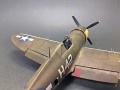 Tamiya 1/48. P-47D Thunderbolt, ,      