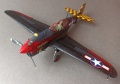 Mauve/Aeromaster 1/48 P-40F-20 Warhawk -   