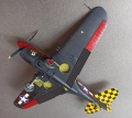 Mauve/Aeromaster 1/48 P-40F-20 Warhawk -   