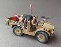 Wespe models 1/48 FIAT TL.37 -    