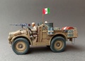 Wespe models 1/48 FIAT TL.37 -    