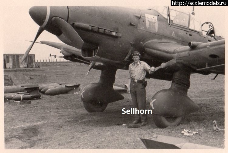 1591723132_3_StG-77-Heinz-Sellhorn.jpg : #1625129/  Ju-87  
