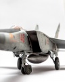 ICM 1/48 -25 