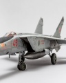 ICM 1/48 -25 