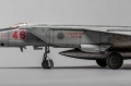 ICM 1/48 -25 