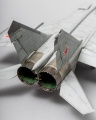 ICM 1/48 -25 