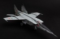 ICM 1/48 -25 