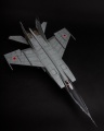 ICM 1/48 -25 