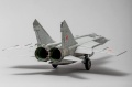 ICM 1/48 -25 