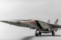 ICM 1/48 -25 