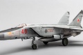 ICM 1/48 -25 