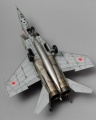 ICM 1/48 -25 