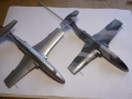 AMK/Eduard 1/48 L-29 Delfin -   