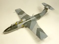 AMK/Eduard 1/48 L-29 Delfin -   