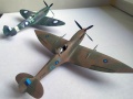 Eduard 1/72  Spitfire Mk VIII -   