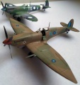 Eduard 1/72  Spitfire Mk VIII -   