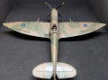 Eduard 1/72  Spitfire Mk VIII -   