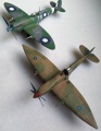 Eduard 1/72  Spitfire Mk VIII -   