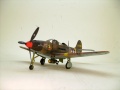 Eduard 1/48 P-39L -   