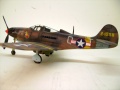 Eduard 1/48 P-39L -   