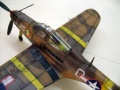 Eduard 1/48 P-39L -   