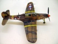 Eduard 1/48 P-39L -   