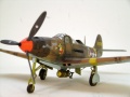 Eduard 1/48 P-39L -   