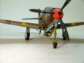 Eduard 1/48 P-39L -   